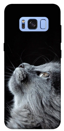 Чохол itsPrint Cute cat для Samsung G950 Galaxy S8