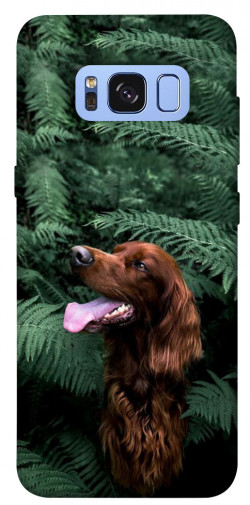 Чехол itsPrint Собака в зелени для Samsung G950 Galaxy S8