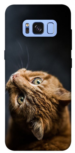 Чехол itsPrint Рыжий кот для Samsung G950 Galaxy S8