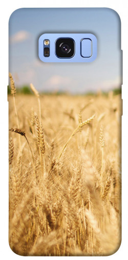 Чехол itsPrint Поле пшеницы для Samsung G950 Galaxy S8