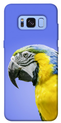 Чехол itsPrint Попугай ара для Samsung G950 Galaxy S8