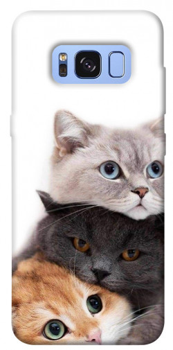 Чехол itsPrint Три кота для Samsung G950 Galaxy S8