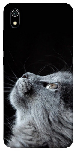 Чохол itsPrint Cute cat для Xiaomi Redmi 7A