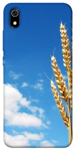 Чехол itsPrint Пшеница для Xiaomi Redmi 7A