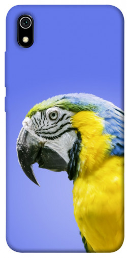 Чехол itsPrint Попугай ара для Xiaomi Redmi 7A