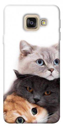 Чехол itsPrint Три кота для Samsung A520 Galaxy A5 (2017)