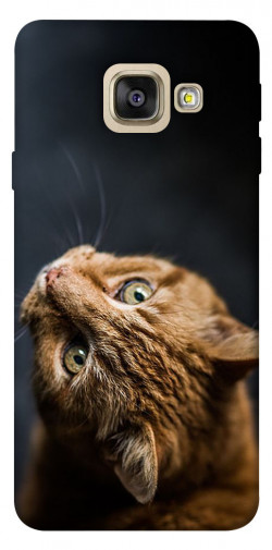 Чехол itsPrint Рыжий кот для Samsung A520 Galaxy A5 (2017)