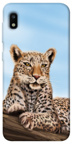 Чохол itsPrint Proud leopard для Samsung Galaxy A10 (A105F)