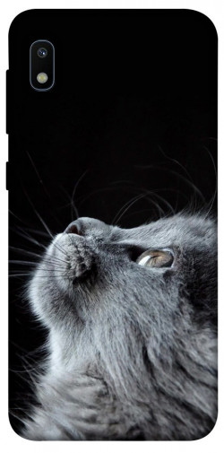Чохол itsPrint Cute cat для Samsung Galaxy A10 (A105F)
