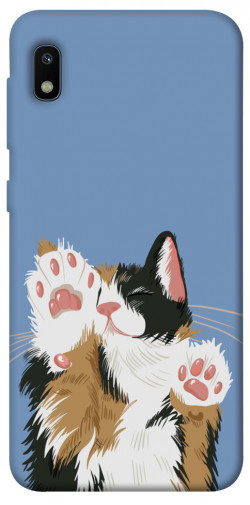Чохол itsPrint Funny cat для Samsung Galaxy A10 (A105F)