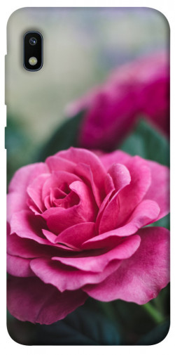 Чехол itsPrint Роза в саду для Samsung Galaxy A10 (A105F)