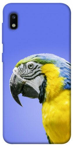 Чехол itsPrint Попугай ара для Samsung Galaxy A10 (A105F)