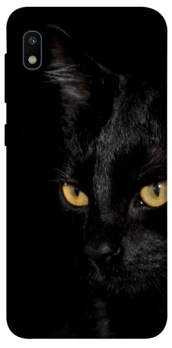 Чехол itsPrint Черный кот для Samsung Galaxy A10 (A105F)