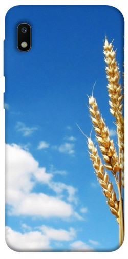 Чехол itsPrint Пшеница для Samsung Galaxy A10 (A105F)