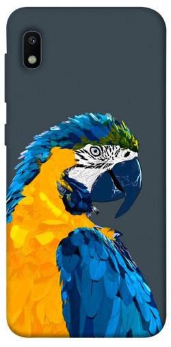 Чехол itsPrint Попугай для Samsung Galaxy A10 (A105F)