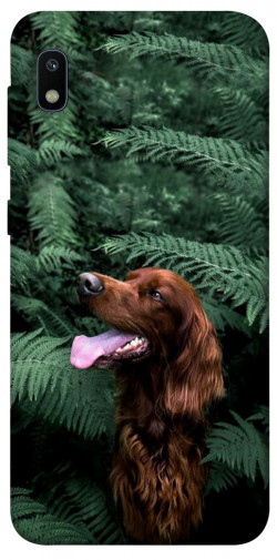 Чехол itsPrint Собака в зелени для Samsung Galaxy A10 (A105F)