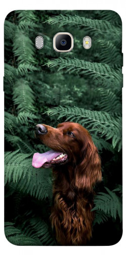 Чехол itsPrint Собака в зелени для Samsung J710F Galaxy J7 (2016)