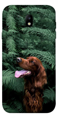 Чохол itsPrint Собака у зелені для Samsung J730 Galaxy J7 (2017)