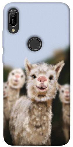 Чехол itsPrint Funny llamas для Huawei Y6 (2019)