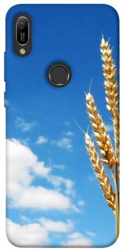 Чехол itsPrint Пшеница для Huawei Y6 (2019)
