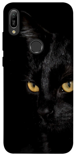 Чехол itsPrint Черный кот для Huawei Y6 (2019)