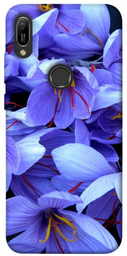 Чехол itsPrint Фиолетовый сад для Huawei Y6 (2019)
