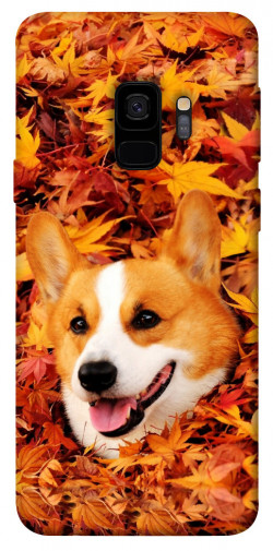 Чехол itsPrint Корги в листьях для Samsung Galaxy S9
