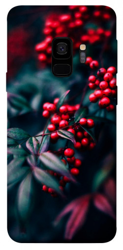 Чохол itsPrint Red berry для Samsung Galaxy S9