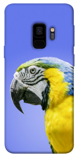 Чехол itsPrint Попугай ара для Samsung Galaxy S9