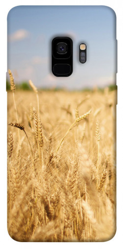 Чехол itsPrint Поле пшеницы для Samsung Galaxy S9