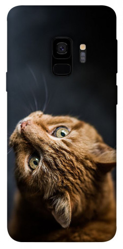 Чехол itsPrint Рыжий кот для Samsung Galaxy S9