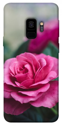 Чехол itsPrint Роза в саду для Samsung Galaxy S9