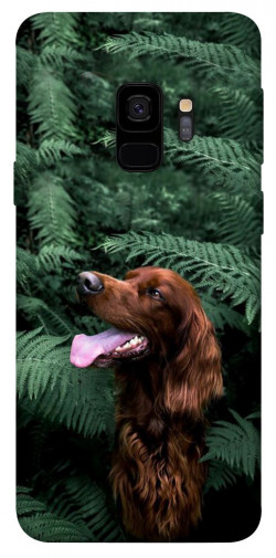 Чехол itsPrint Собака в зелени для Samsung Galaxy S9