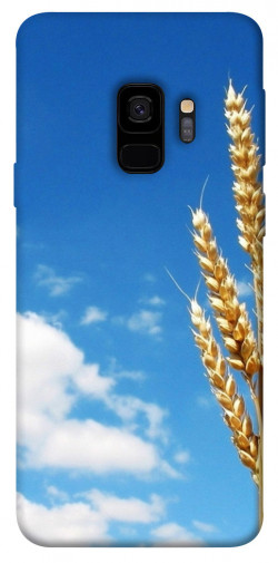Чохол itsPrint Пшениця для Samsung Galaxy S9