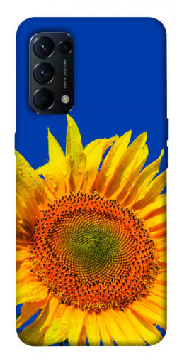 Чохол itsPrint Sunflower для Oppo Reno 5 4G