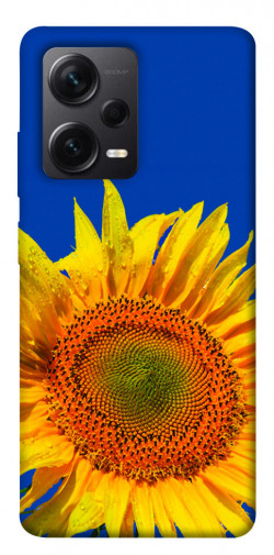 Чохол itsPrint Sunflower для Xiaomi Redmi Note 12 Pro+ 5G