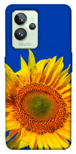 Чохол itsPrint Sunflower для Realme GT2