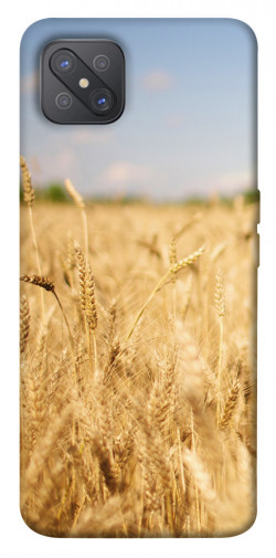 Чохол itsPrint Поле пшениці для Oppo A92s