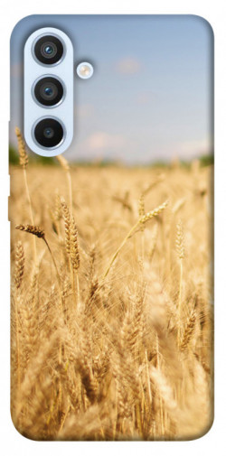 Чохол itsPrint Поле пшениці для Samsung Galaxy A54 5G