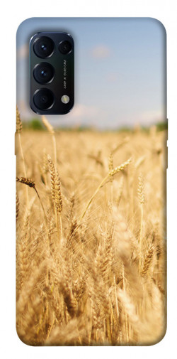 Чехол itsPrint Поле пшеницы для Oppo Reno 5 4G