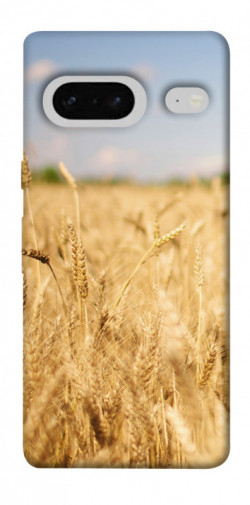 Чехол itsPrint Поле пшеницы для Google Pixel 7