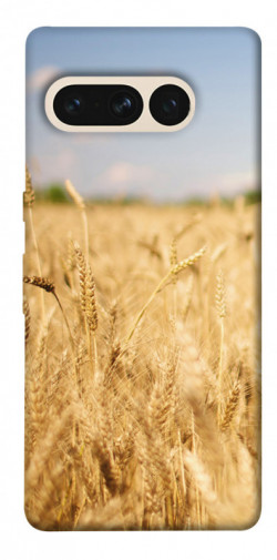 Чехол itsPrint Поле пшеницы для Google Pixel 7 Pro
