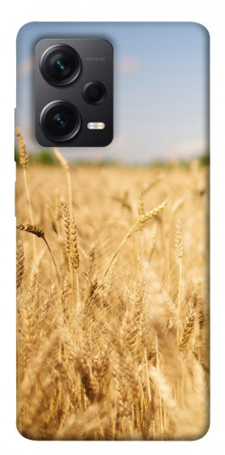 Чехол itsPrint Поле пшеницы для Xiaomi Redmi Note 12 Pro+ 5G
