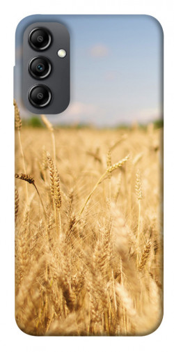Чехол itsPrint Поле пшеницы для Samsung Galaxy A14 4G/5G