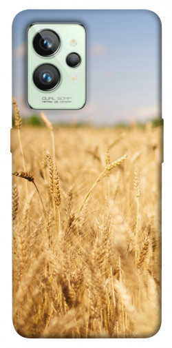 Чохол itsPrint Поле пшениці для Realme GT2