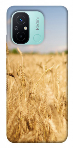 Чехол itsPrint Поле пшеницы для Xiaomi Redmi 12C