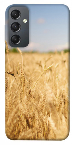Чехол itsPrint Поле пшеницы для Samsung Galaxy A24 4G