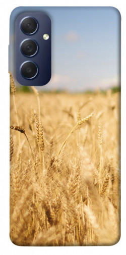 Чехол itsPrint Поле пшеницы для Samsung Galaxy M54 5G