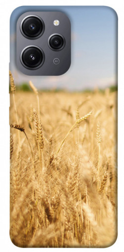 Чехол itsPrint Поле пшеницы для Xiaomi Redmi 12