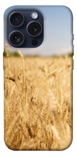 Чехол itsPrint Поле пшеницы для Apple iPhone 15 Pro (6.1")